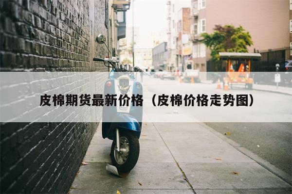 皮棉期货最新价格（皮棉价格走势图）