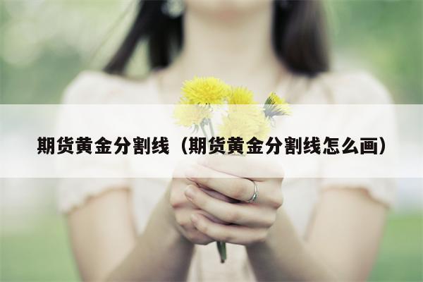 期货黄金分割线（期货黄金分割线怎么画）