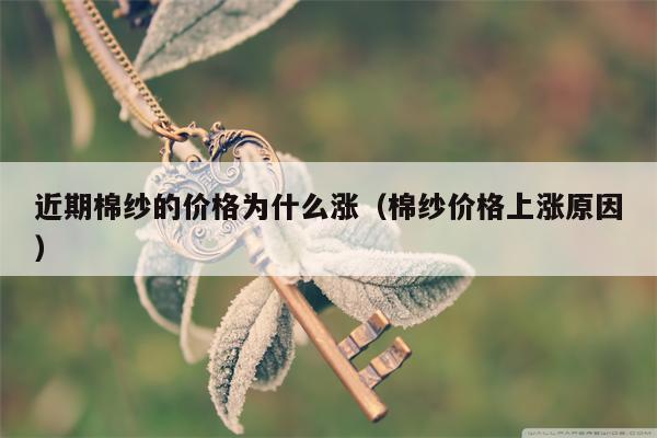 近期棉纱的价格为什么涨（棉纱价格上涨原因）