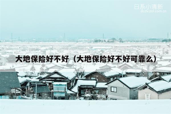 大地保险好不好（大地保险好不好可靠么）