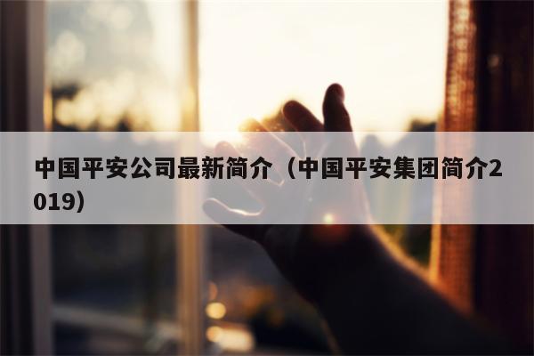 中国平安公司最新简介（中国平安集团简介2019）
