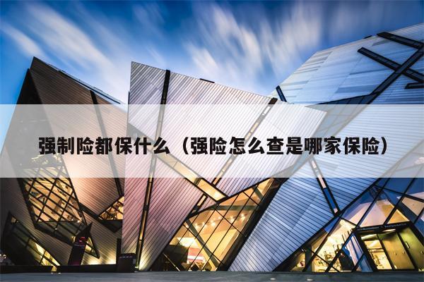 强制险都保什么（强险怎么查是哪家保险）