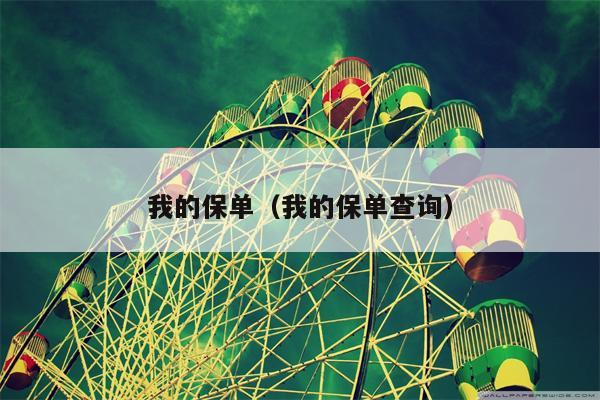 我的保单（我的保单查询）