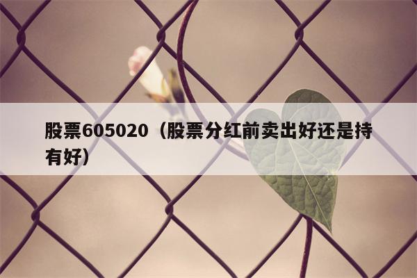 股票605020（股票分红前卖出好还是持有好）