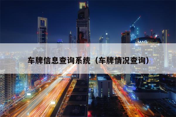 车牌信息查询系统（车牌情况查询）
