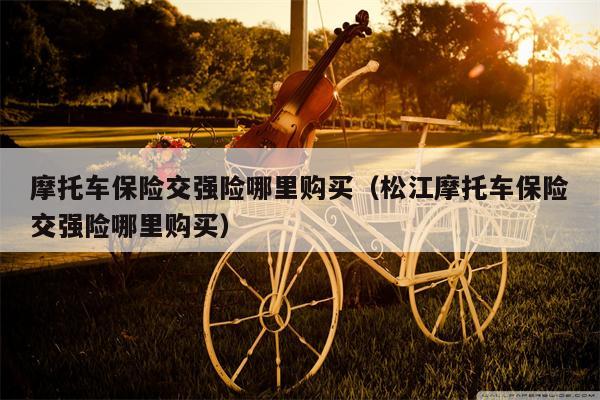 摩托车保险交强险哪里购买（松江摩托车保险交强险哪里购买）