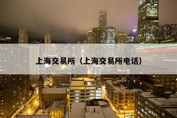上海交易所（上海交易所电话）