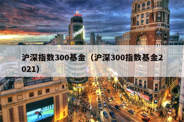 沪深指数300基金（沪深300指数基金2021）