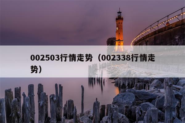 002503行情走势（002338行情走势）
