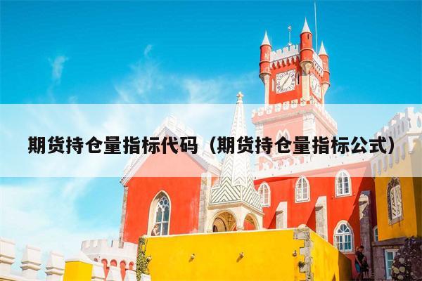 期货持仓量指标代码（期货持仓量指标公式）