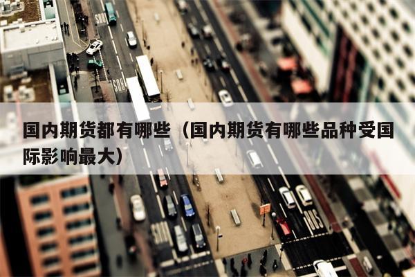 国内期货都有哪些（国内期货有哪些品种受国际影响最大）