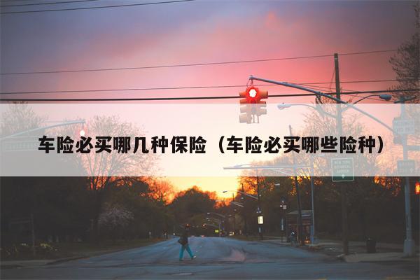 车险必买哪几种保险（车险必买哪些险种）