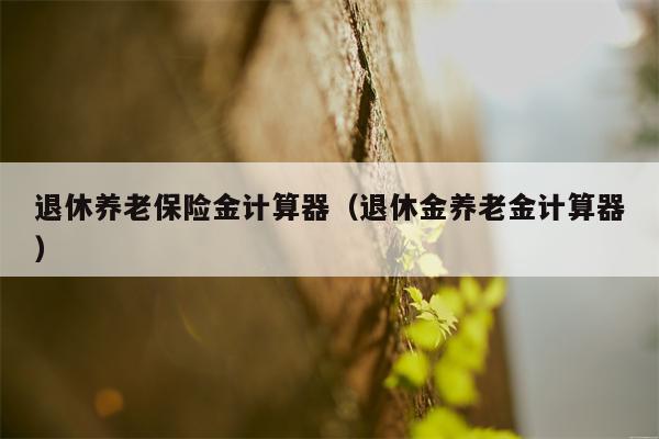退休养老保险金计算器（退休金养老金计算器）