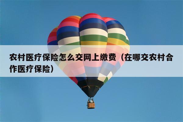 农村医疗保险怎么交网上缴费（在哪交农村合作医疗保险）