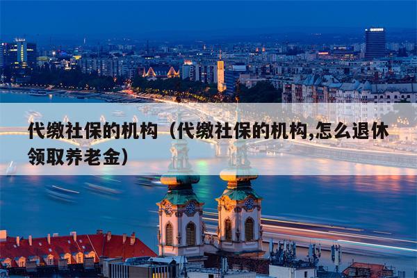 代缴社保的机构（代缴社保的机构,怎么退休领取养老金）