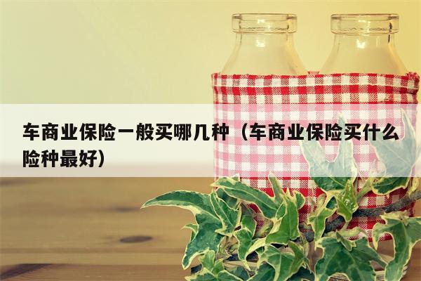 车商业保险一般买哪几种（车商业保险买什么险种最好）