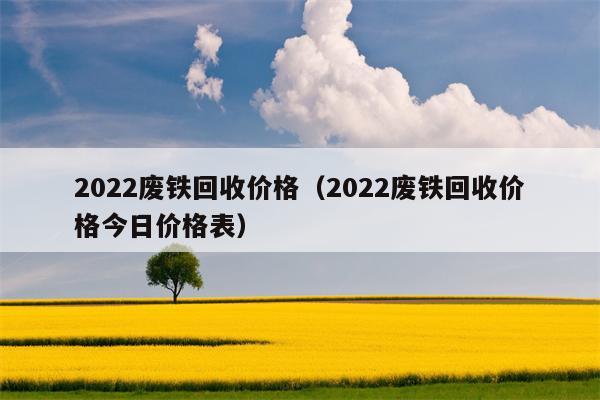 2022废铁回收价格（2022废铁回收价格今日价格表）