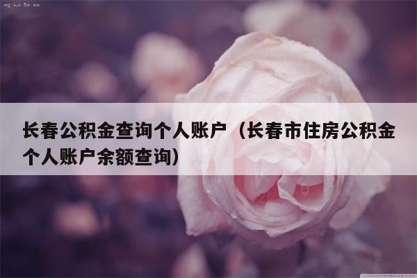长春公积金查询个人账户（长春市住房公积金个人账户余额查询）