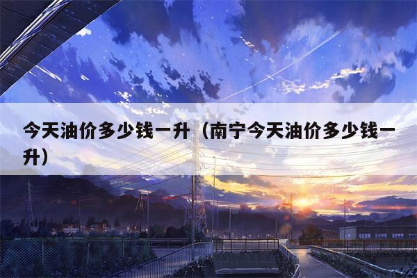 今天油价多少钱一升（南宁今天油价多少钱一升）