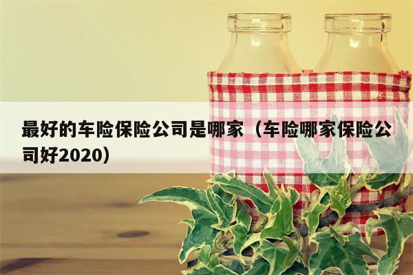 最好的车险保险公司是哪家（车险哪家保险公司好2020）