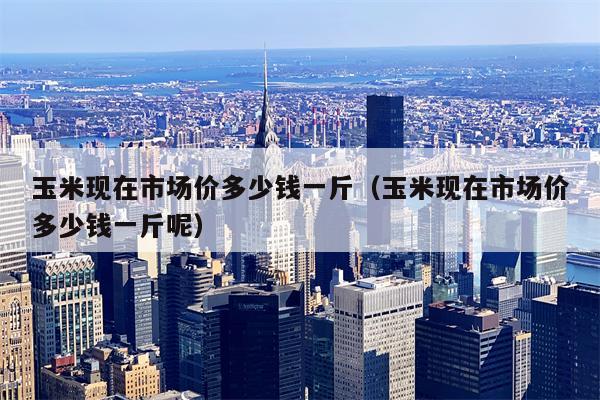玉米现在市场价多少钱一斤（玉米现在市场价多少钱一斤呢）