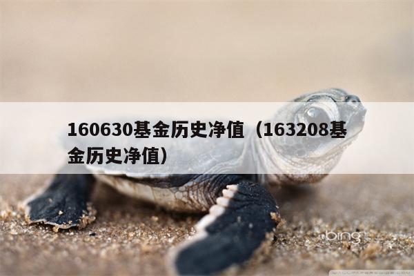 160630基金历史净值（163208基金历史净值）