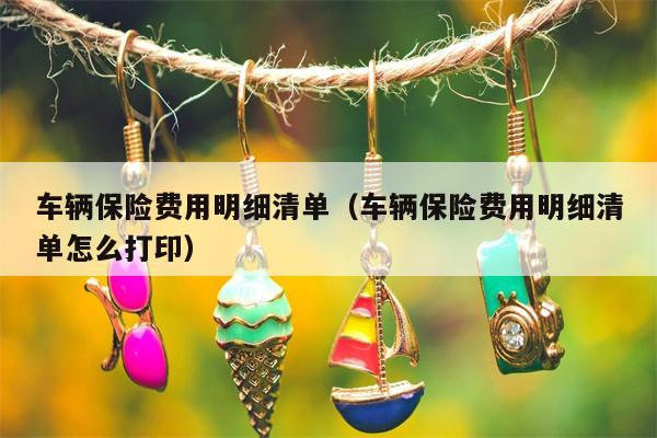 车辆保险费用明细清单（车辆保险费用明细清单怎么打印）