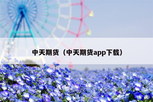 中天期货（中天期货app下载）