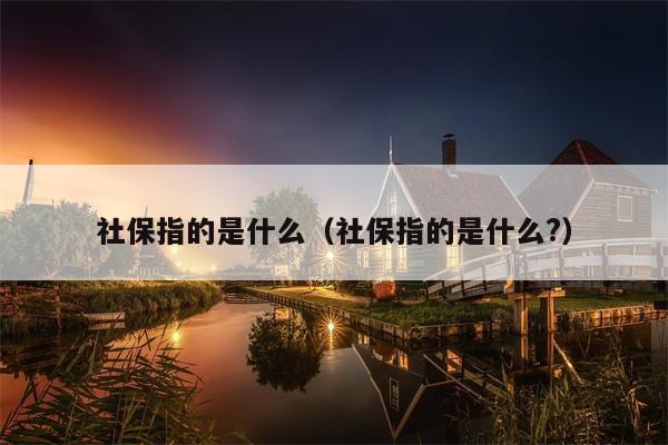 社保指的是什么（社保指的是什么?）