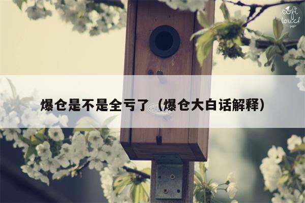 爆仓是不是全亏了（爆仓大白话解释）