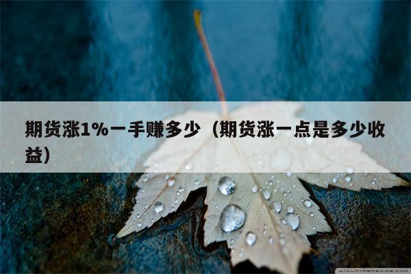 期货涨1%一手赚多少（期货涨一点是多少收益）
