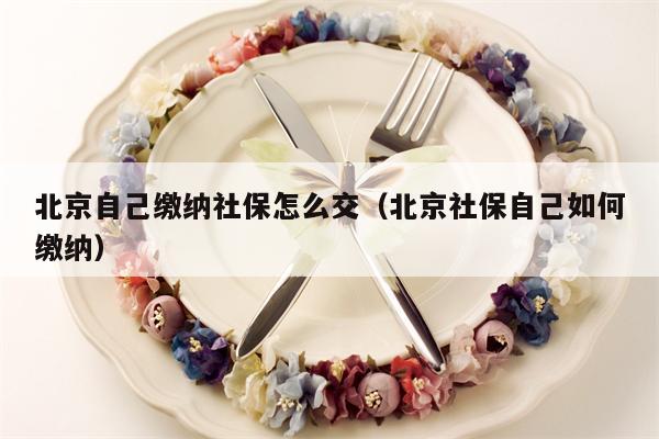 北京自己缴纳社保怎么交（北京社保自己如何缴纳）