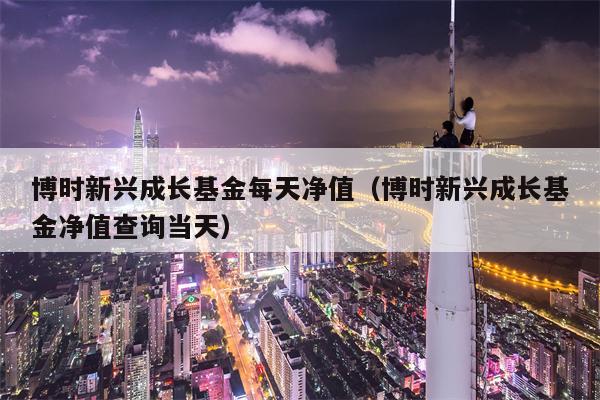 博时新兴成长基金每天净值（博时新兴成长基金净值查询当天）