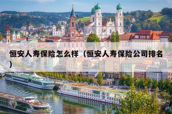 恒安人寿保险怎么样（恒安人寿保险公司排名）