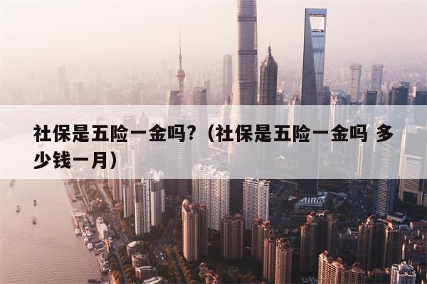社保是五险一金吗?（社保是五险一金吗 多少钱一月）