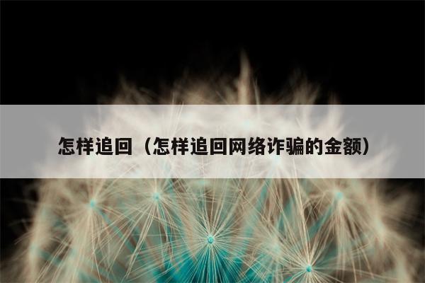 怎样追回（怎样追回网络诈骗的金额）