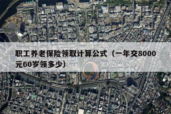 职工养老保险领取计算公式（一年交8000元60岁领多少）