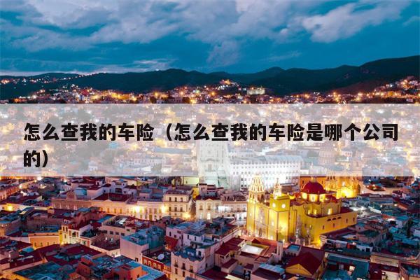 怎么查我的车险（怎么查我的车险是哪个公司的）