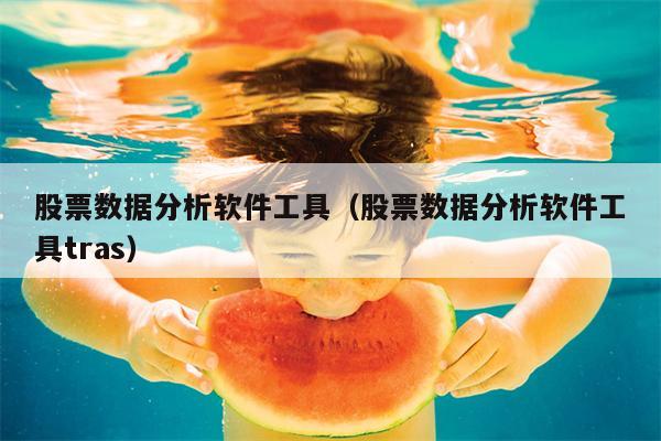 股票数据分析软件工具（股票数据分析软件工具tras）