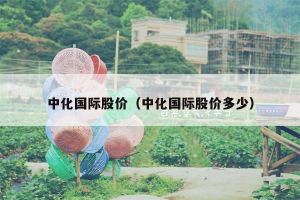 中化国际股价（中化国际股价多少）