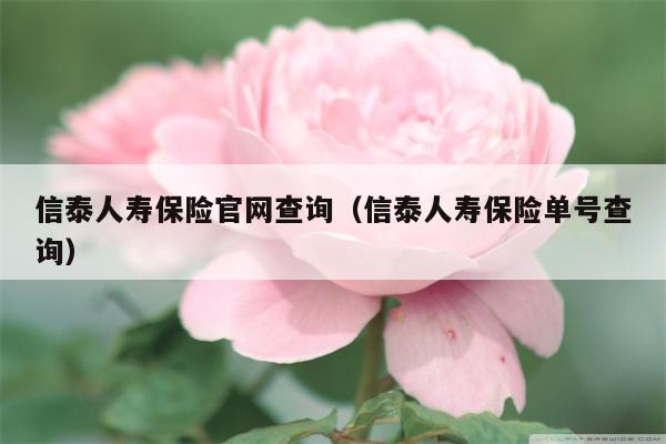 信泰人寿保险官网查询（信泰人寿保险单号查询）