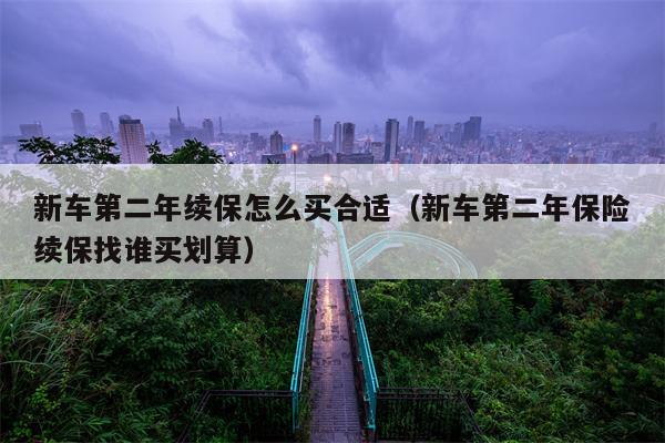 新车第二年续保怎么买合适（新车第二年保险续保找谁买划算）