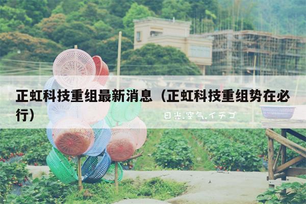 正虹科技重组最新消息（正虹科技重组势在必行）