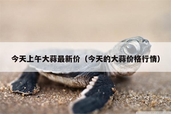今天上午大蒜最新价（今天的大蒜价格行情）