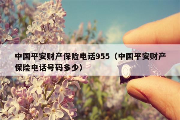 中国平安财产保险电话955（中国平安财产保险电话号码多少）