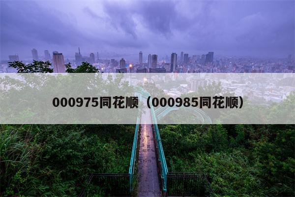 000975同花顺（000985同花顺）
