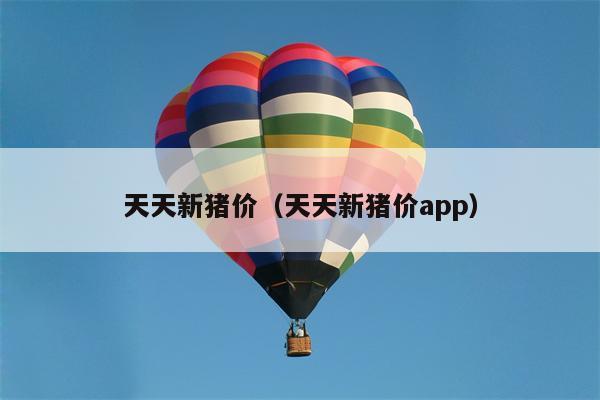 天天新猪价（天天新猪价app）