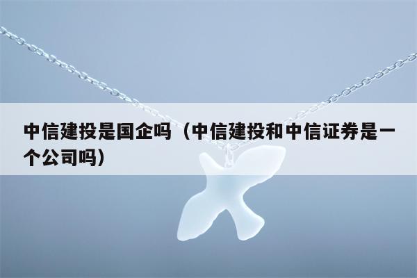 中信建投是国企吗（中信建投和中信证券是一个公司吗）