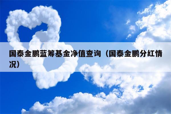 国泰金鹏蓝筹基金净值查询（国泰金鹏分红情况）