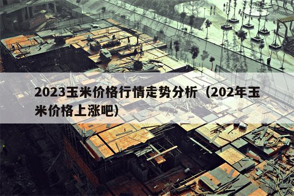 2023玉米价格行情走势分析（202年玉米价格上涨吧）